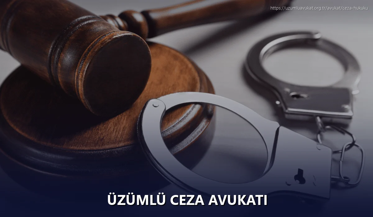 Üzümlü Ceza Avukatı