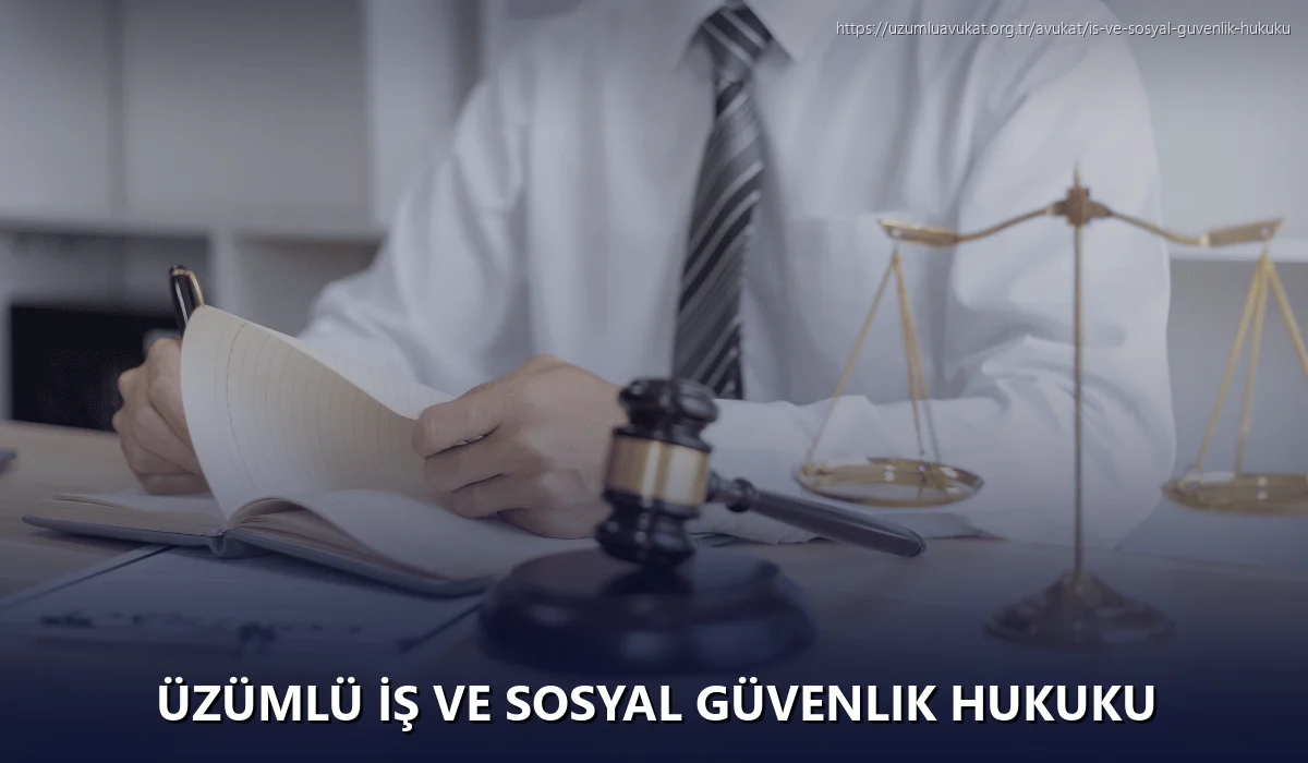 Üzümlü İş ve Sosyal Güvenlik Hukuku