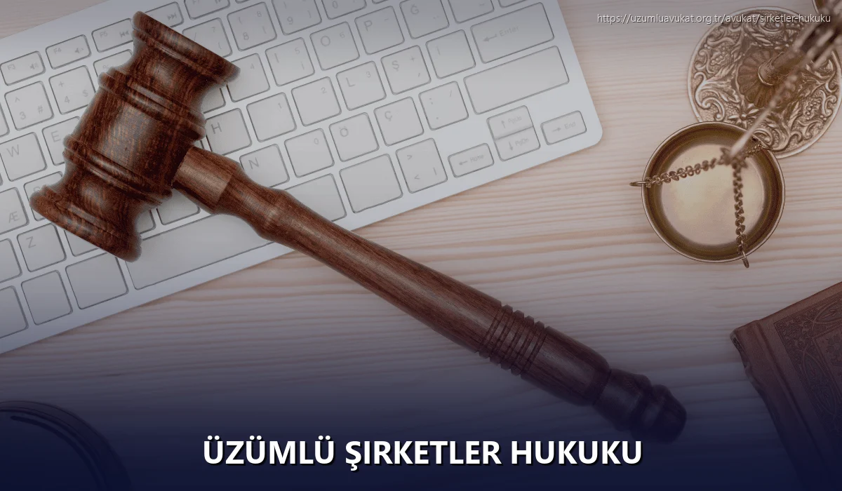 Üzümlü Şirketler Hukuku